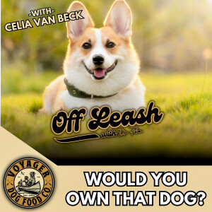 Would You Own That Dog?