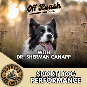 Dr. Sherman Canapp, Sport Dog Performance