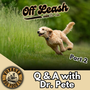 Q&A with Dr. Pete (Part 2)