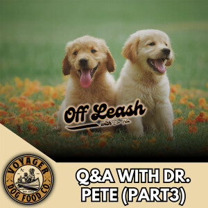 Q&A with Dr. Pete (Part 3)