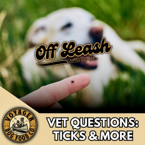 Vet Questions: Ticks and More
