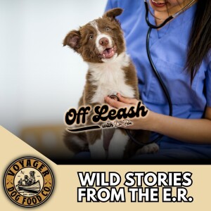 Aden Rohani; Wild Stories From the E.R.