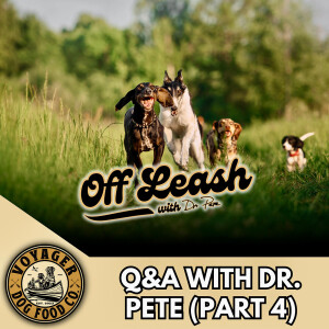 Q&A Part 4