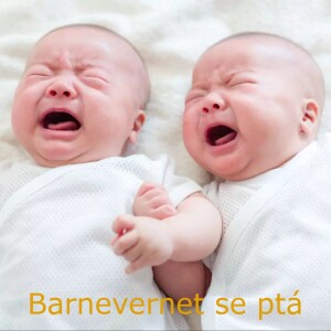 Barnevernet se ptá