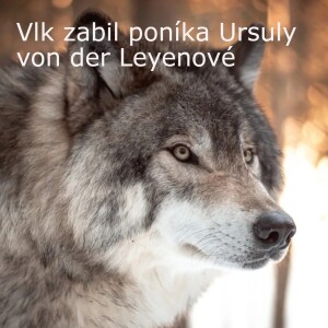 Vlk zabil poníka Ursuly von der Leyenové