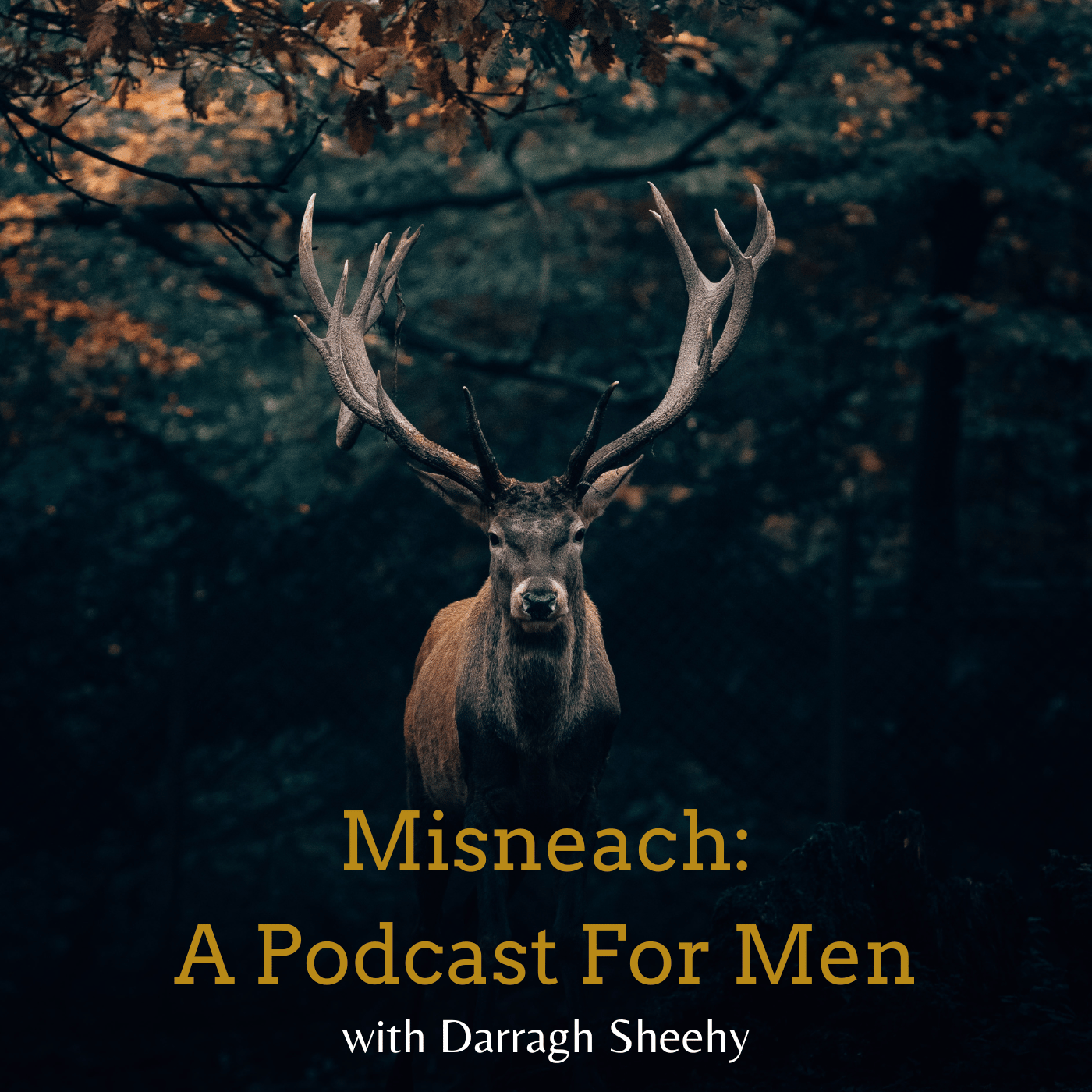 Misneach: A Podcast For Men