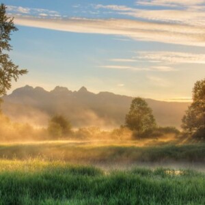 Guided Visualization – Mindfulness of breathing and calming the body whilst watching television