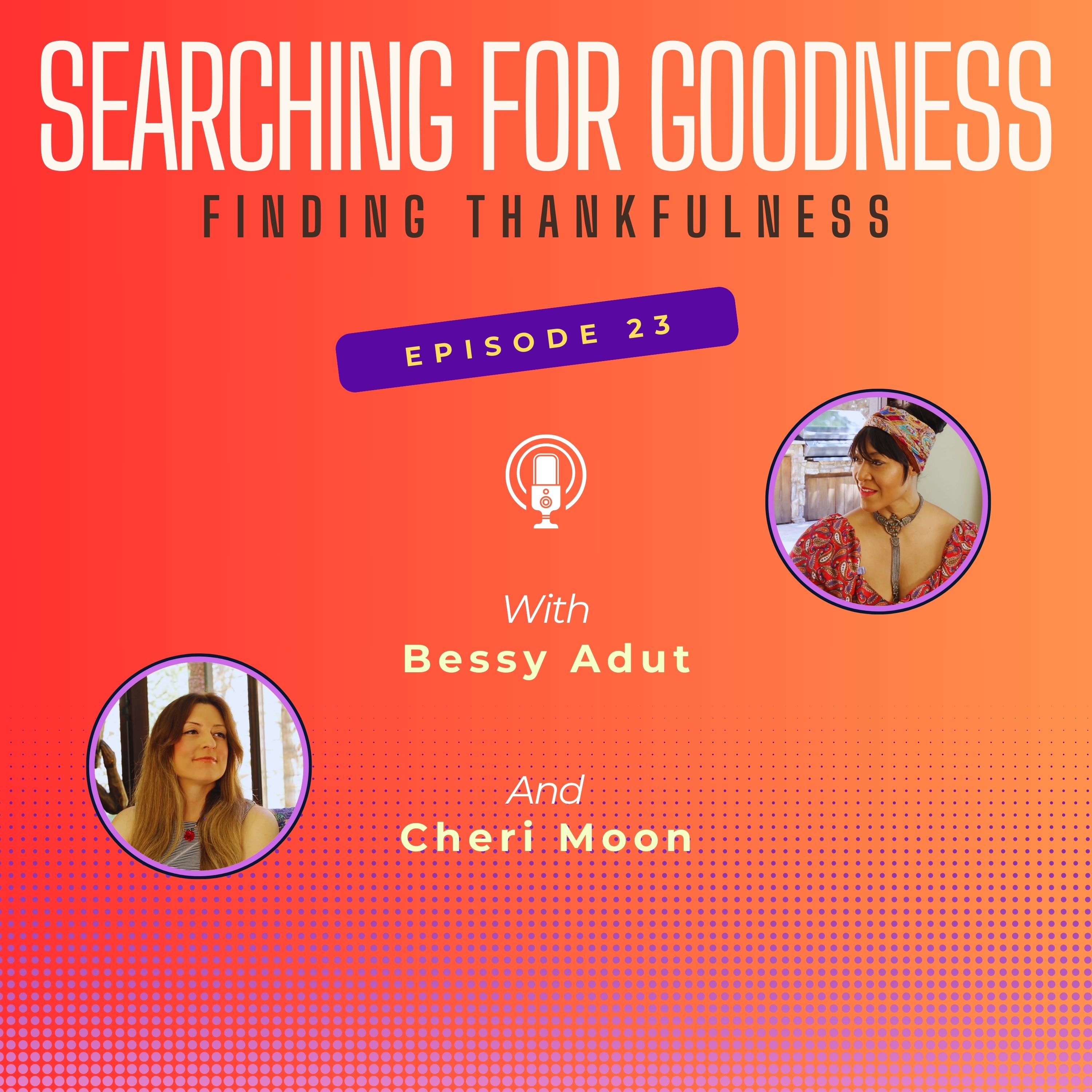 Searching for Goodness Podcast
