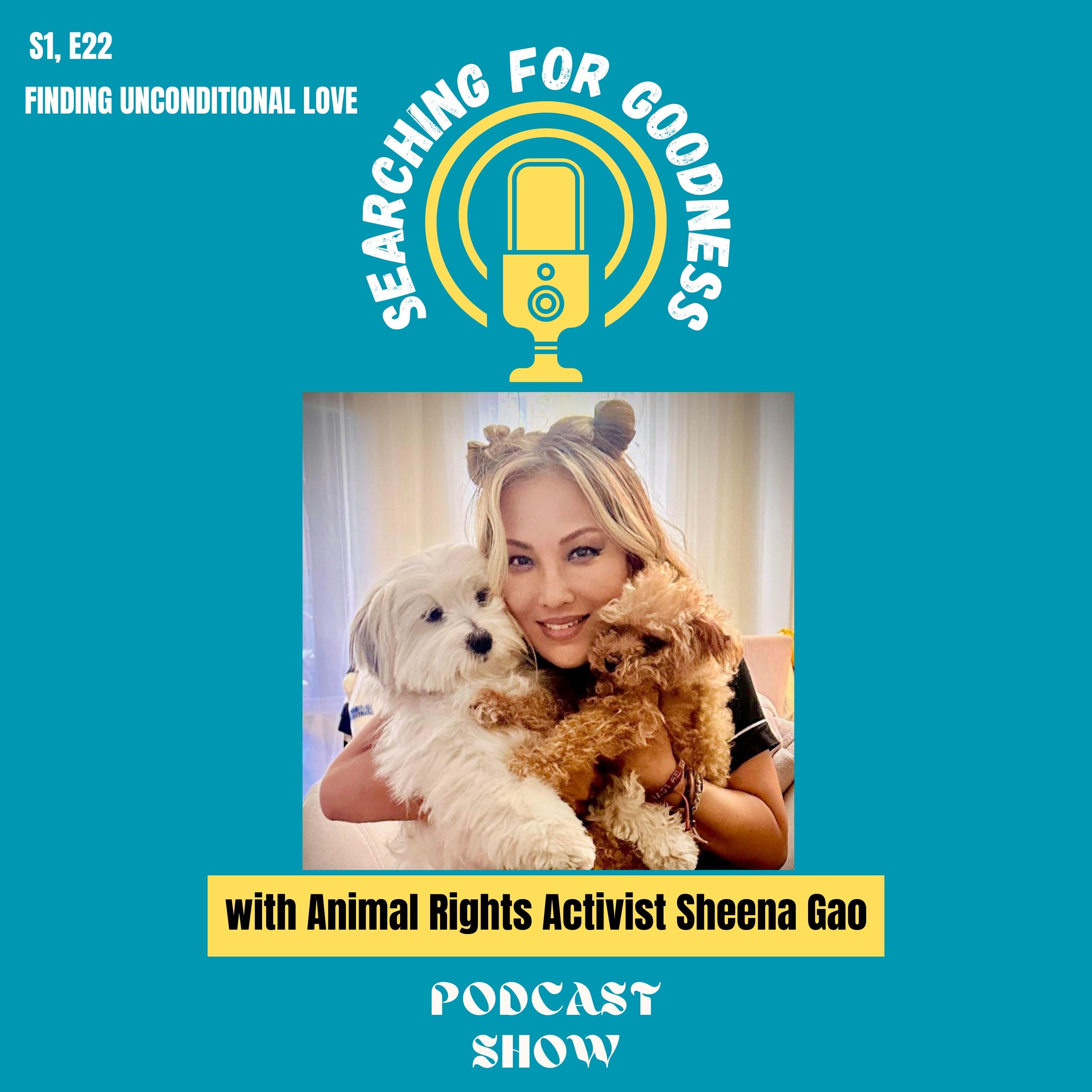 Searching for Goodness Podcast