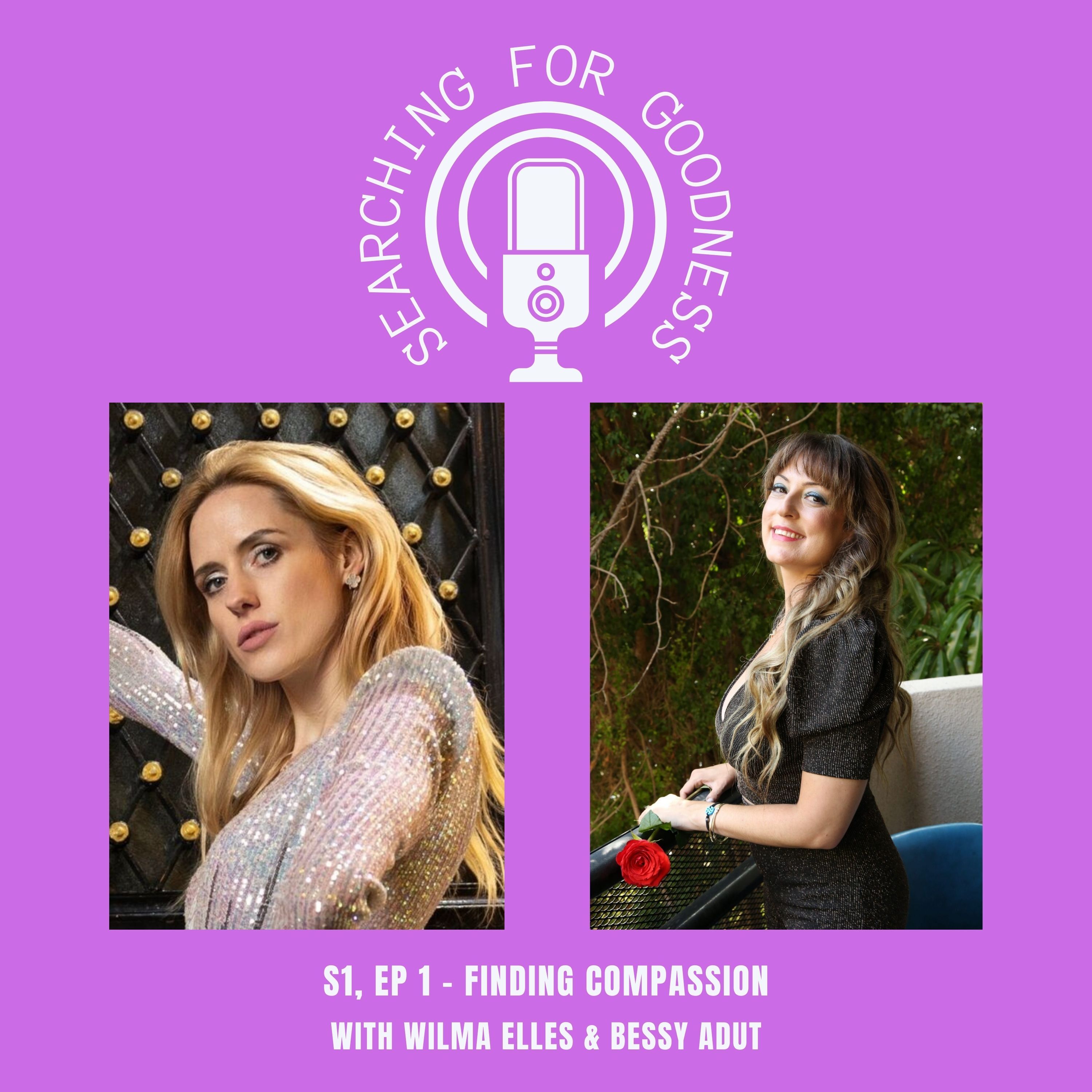 Searching for Goodness Podcast