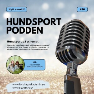 #10 Hundsport på schemat