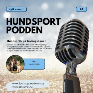 #9 Hundspråk på tävlingsbanan