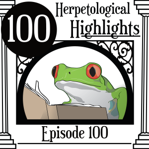 100 Episode 100