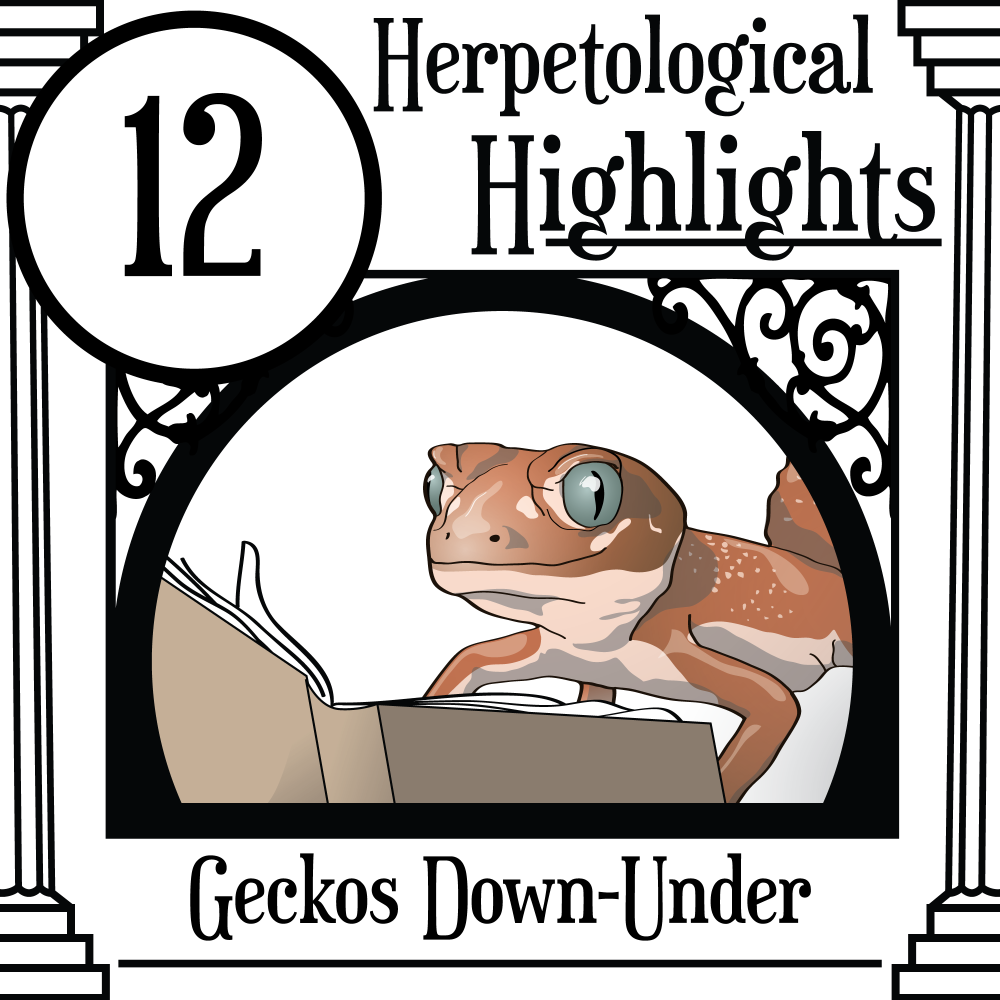 012 Geckos Down Under