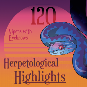120 Vipers With Eyebrows