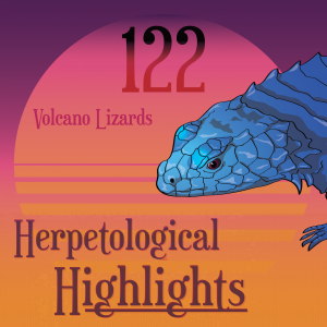 122 Volcano Lizards