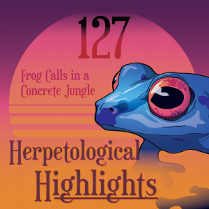 127 Frog Calls in a Concrete Jungle