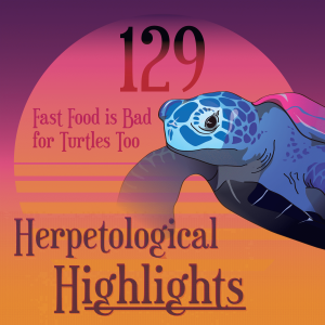 129 Fast Food is Bad for Turtles Too
