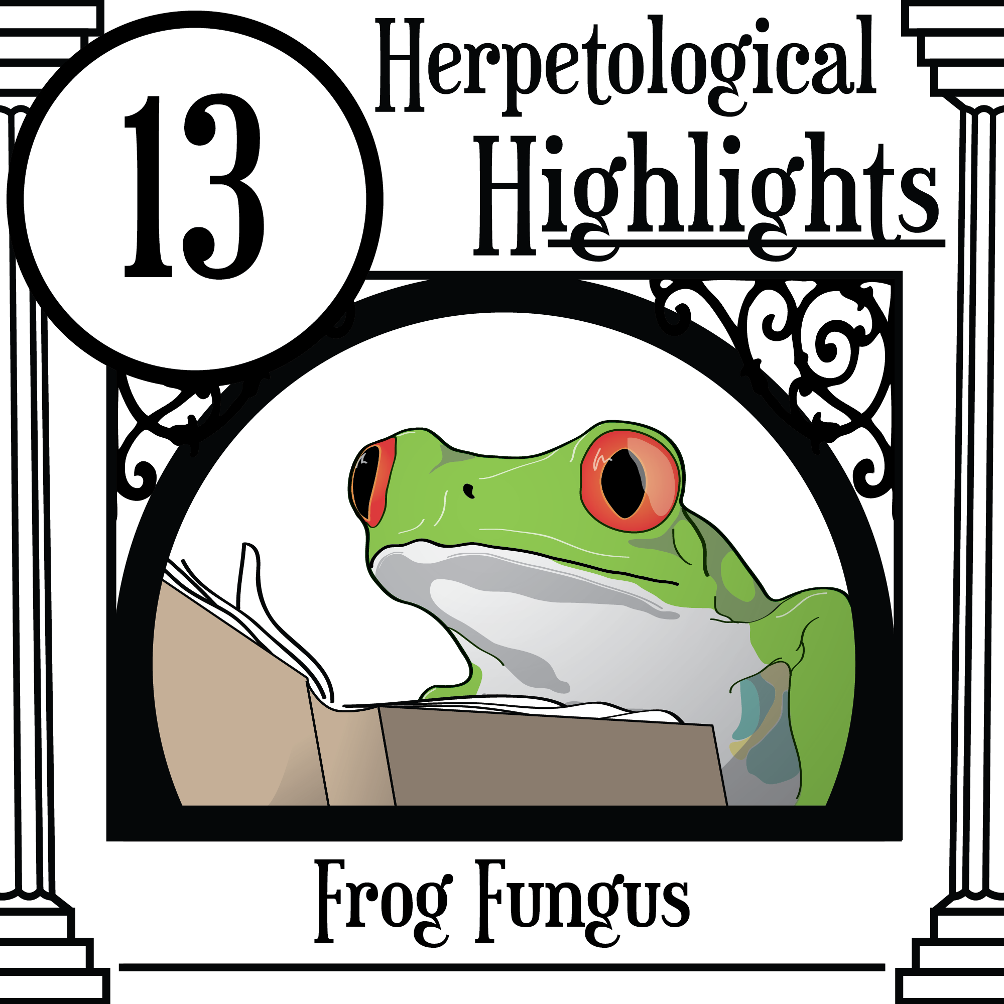 013 Frog Fungus
