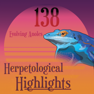 138 Evolving Anoles