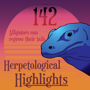 142 Alligators can regrow their tails