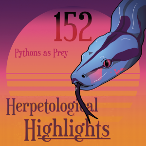 152 Pythons as Prey