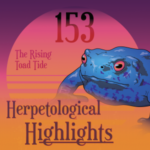 153 The Rising Toad Tide