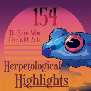 154 The Frogs Who Live With Ants