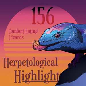 156 Comfort Eating Lizards