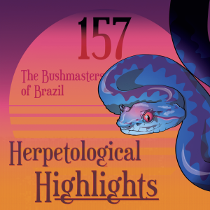 157 The Bushmasters of Brazil
