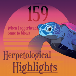 159 When Loggerheads come to blows