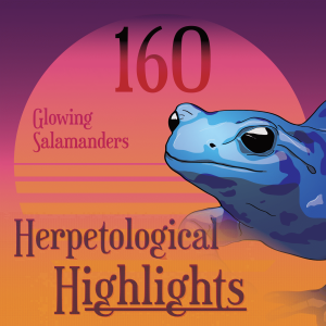 160 Glowing Salamanders