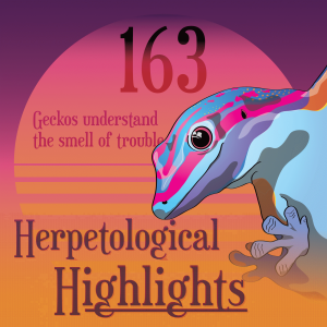 163 Geckos Understand the Smell of Trouble