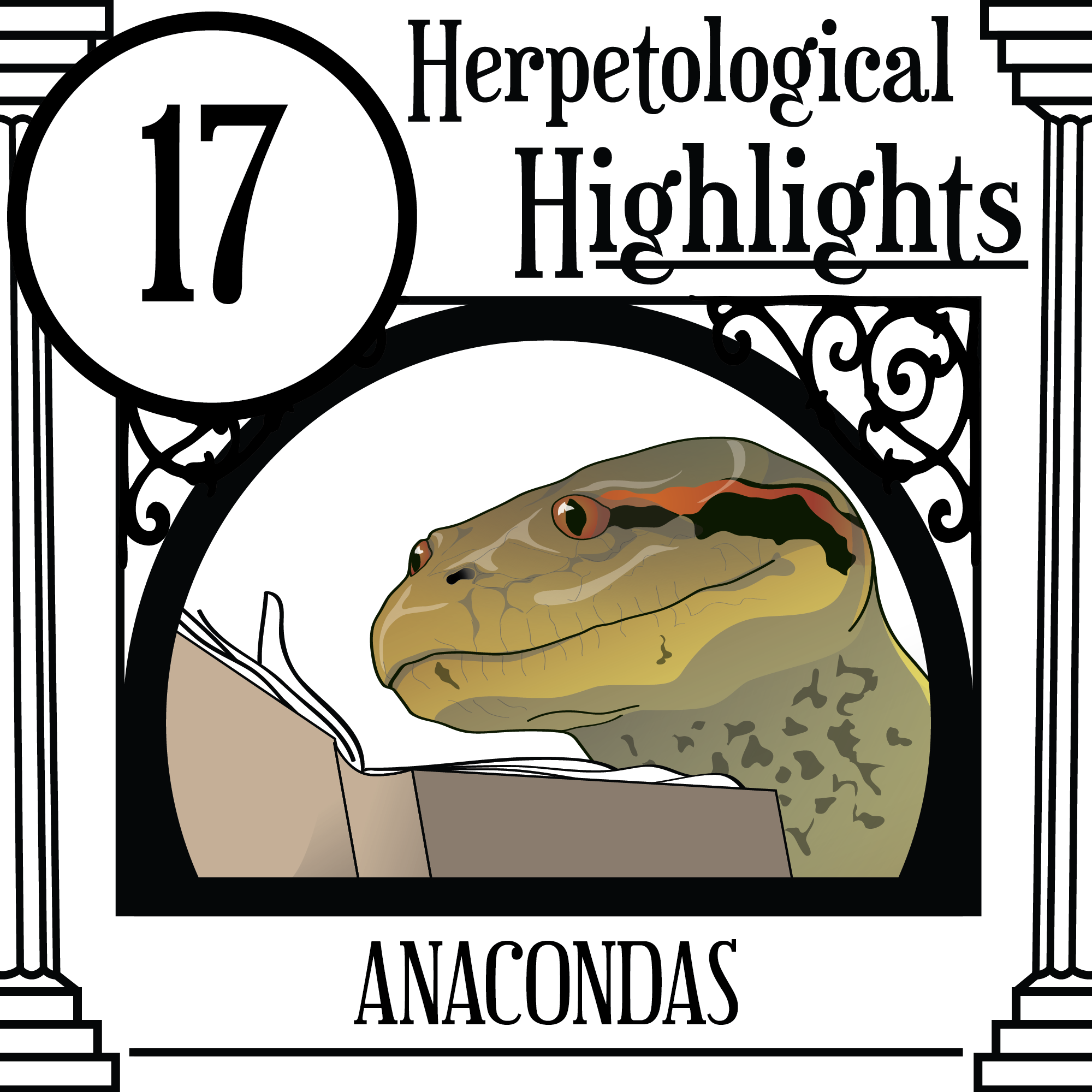 017 ANACONDAS