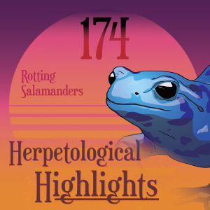 174 Rotting Salamanders