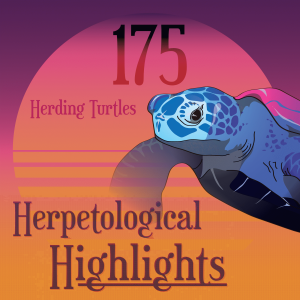 175 Herding Turtles