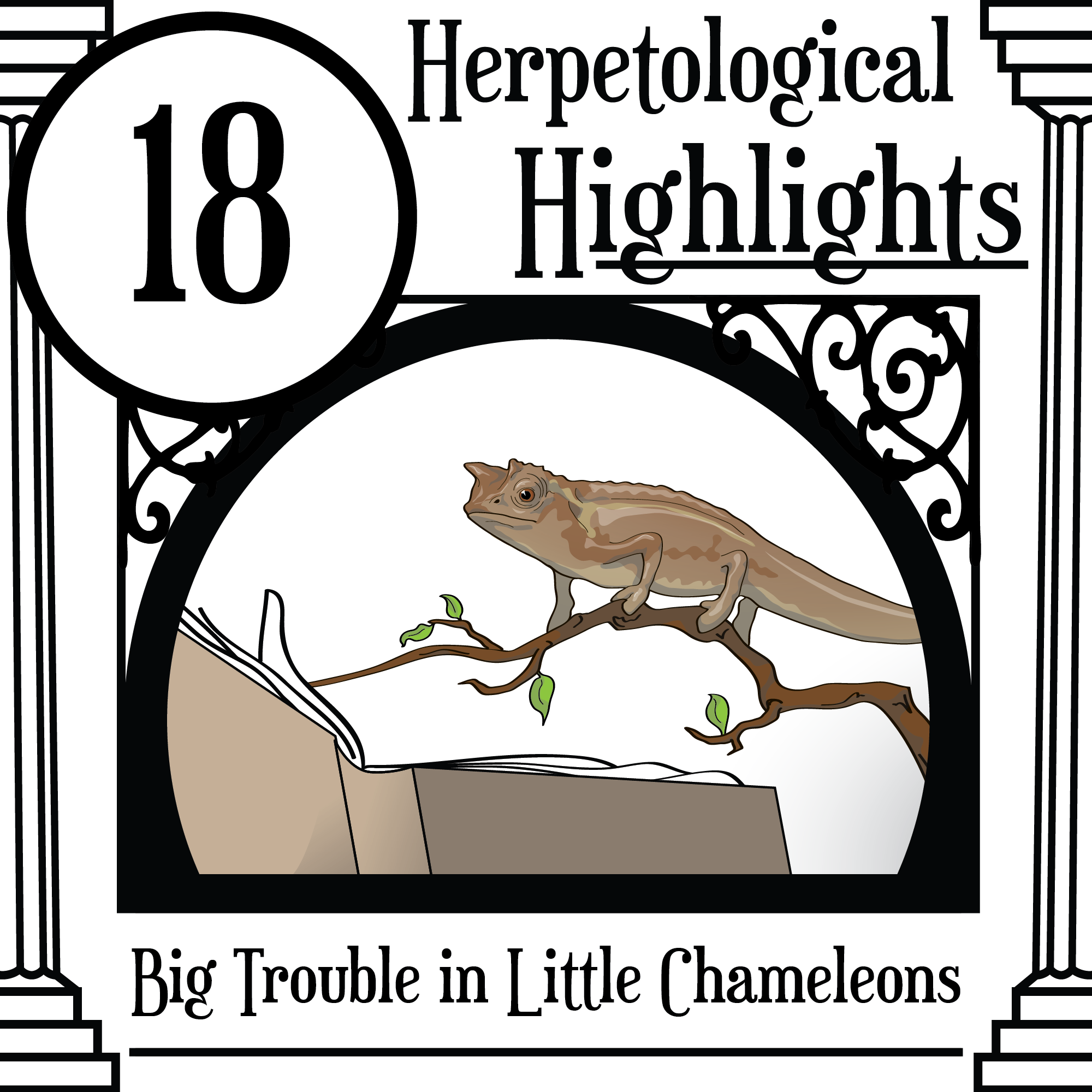 018 Big Trouble in Little Chameleons