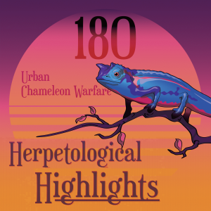 180 Urban Chameleon Warfare