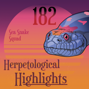 182 Sea Snake Squad