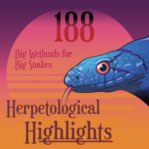 188 Big Wetlands for Big Snakes