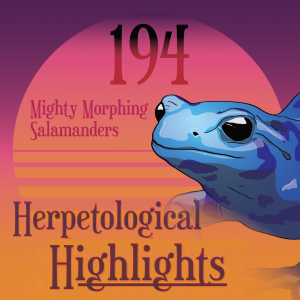 194 Mighty Morphing Salamanders
