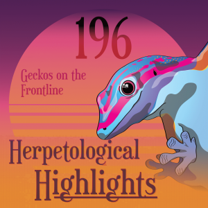 196 Geckos on the Frontline
