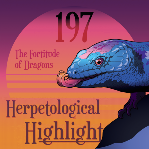 197 The Fortitude of Dragons