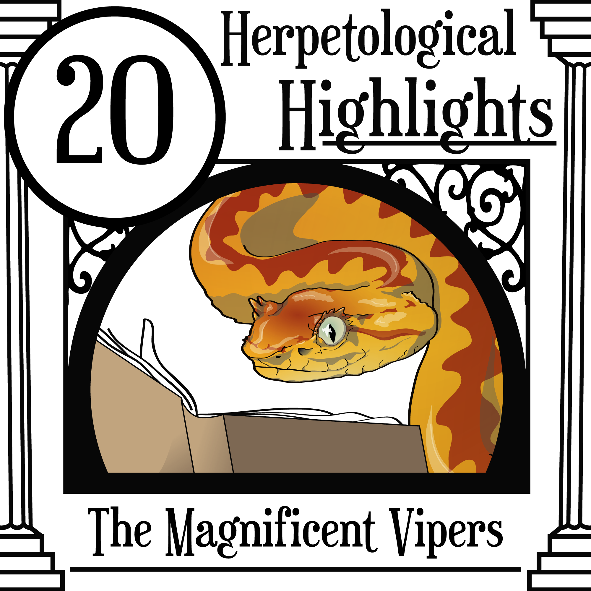 020 The Magnificent Vipers