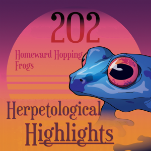 202 Homeward Hopping Frogs