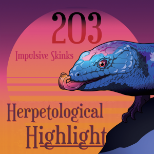 203 Impulsive Skinks