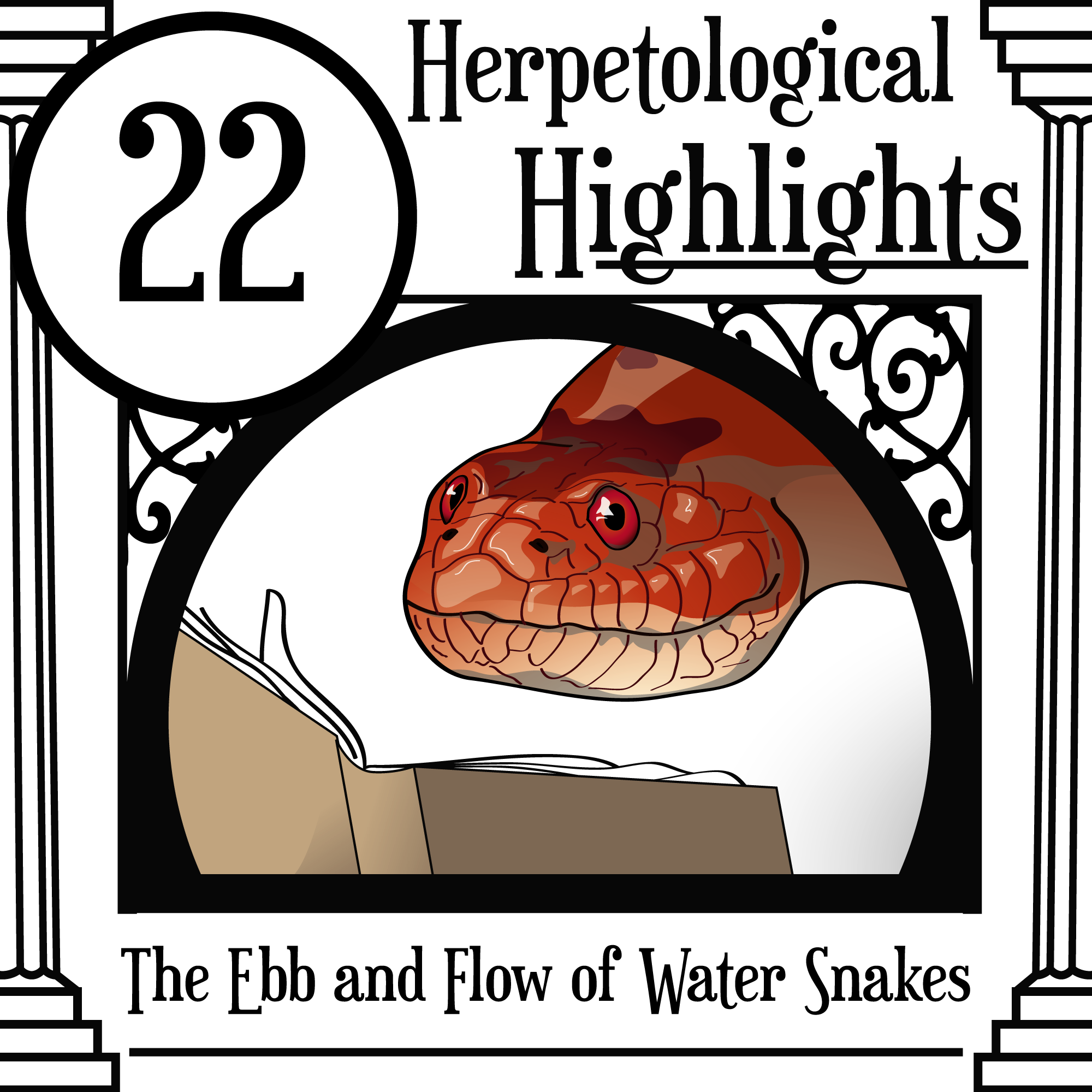 022 The Ebb and Flow of Water Snakes