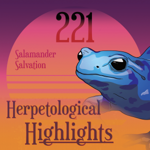 221 Salamander Salvation