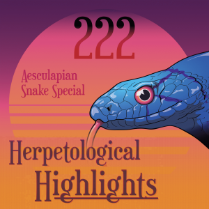 222 Aesculapian Snake Special