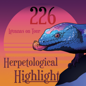 226 Iguanas on Tour